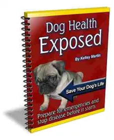Dog Health Exposed cover